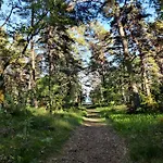 Kamp alanı Mere